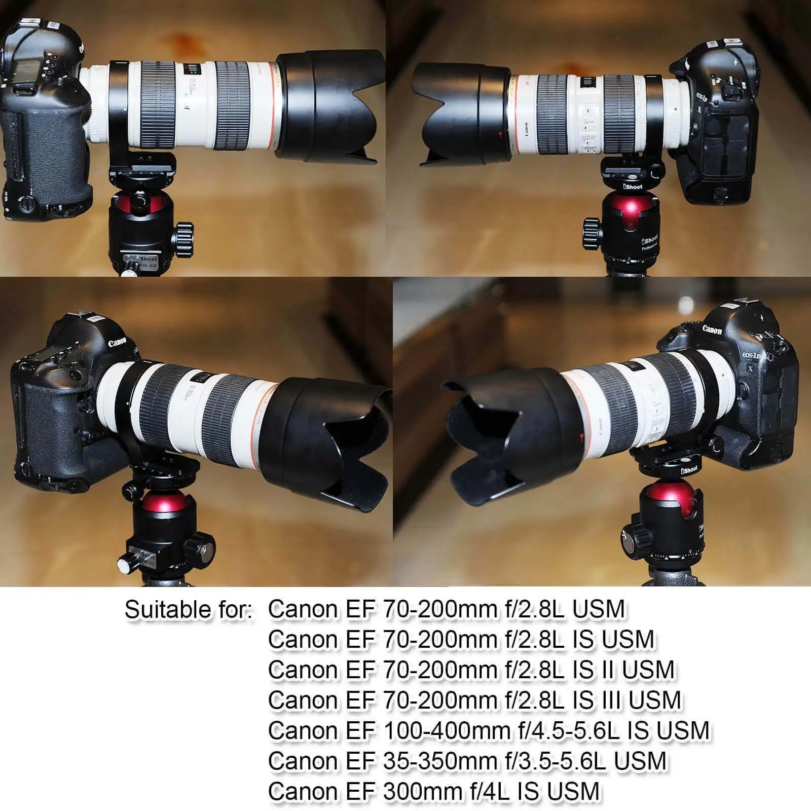lens support