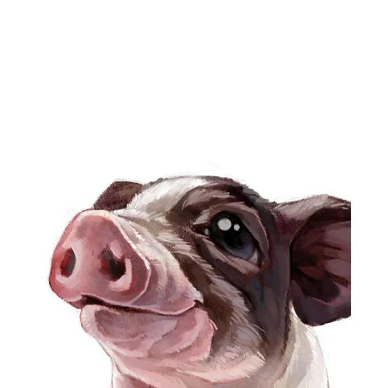 

pig Hand Made Paint High Quality Canvas Beautiful Painting By Numbers Surprise Gift Great Accomplishment