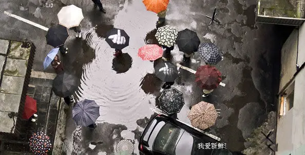 Бесплатная доставка 1 шт зонт среднего пальца|finger umbrella|middle finger umbrellaumbrella umbrella |