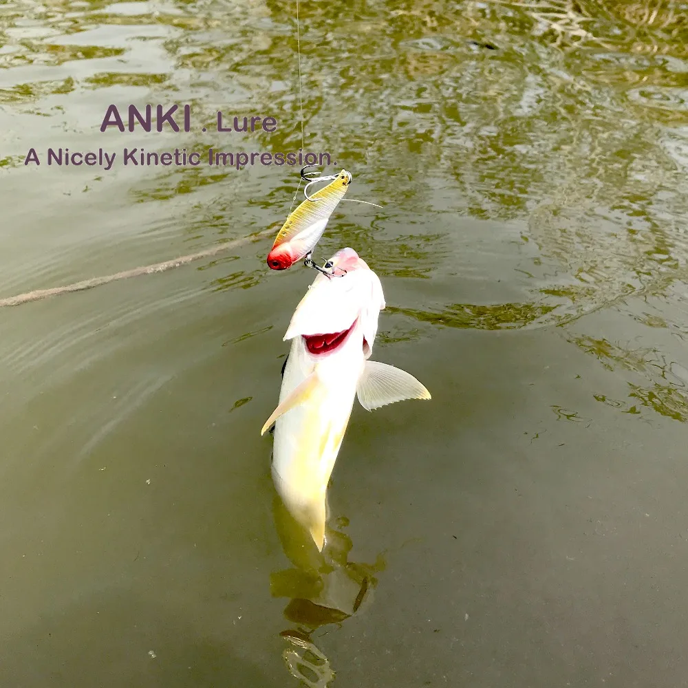 fish3