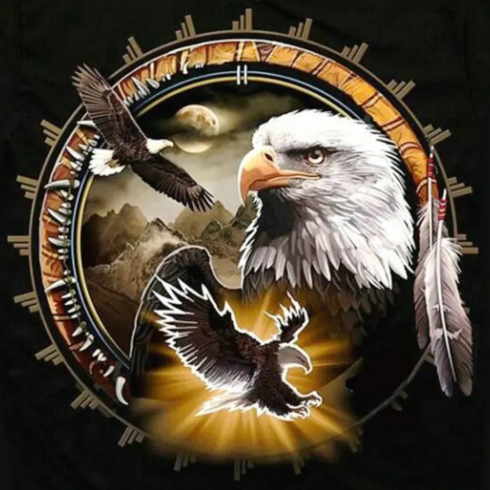DIY 5D Diamond painting cross-stitch needlework eagle moon full square rhinestones diamond mosaic unfinished embroidery | Дом и сад