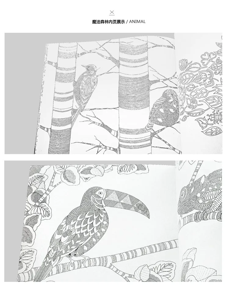 2946841217_725808522