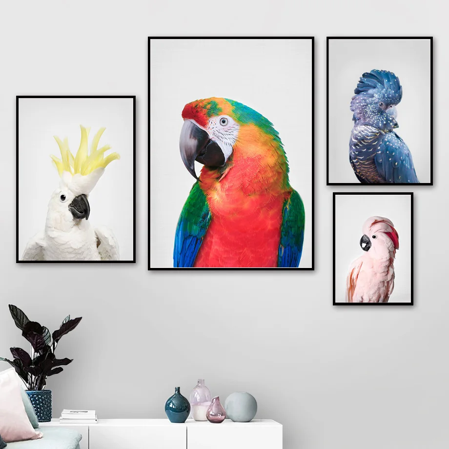 Camelot Macaws Cockatoo Parrot