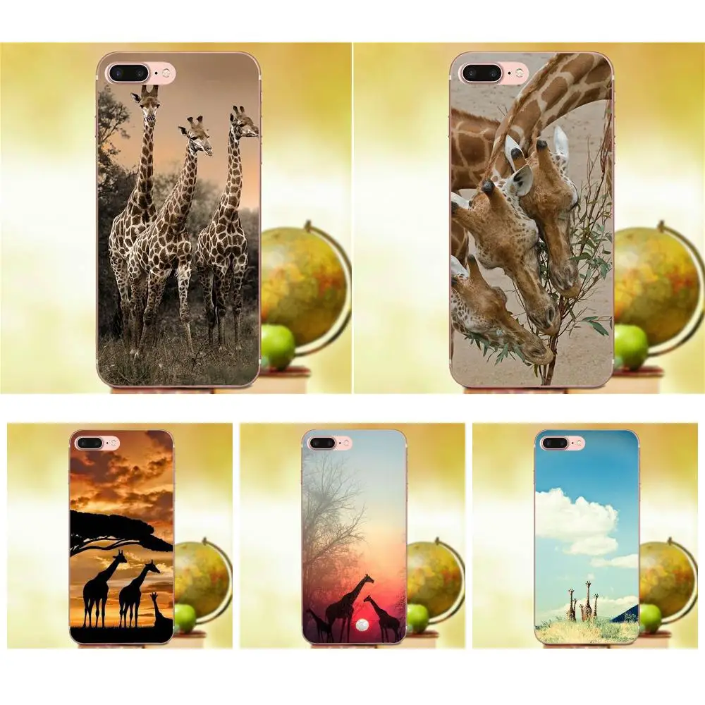 ТПУ чехол для телефона Three Giraffes Lovely Animal LG Nexus 5 5X G2 G3 mini spirit G4 G5 G6 K4 K7 K8 K10 2017 V10 V20 V30 Stylus