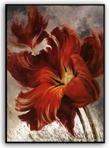

14/16/18/27/28 Needlework,DIY DMC Cross stitch,Set For full embroidery kit,red poppy flowers Printed Patterns Cross-Stitch