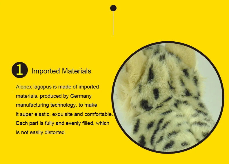 4427699174_2076369807