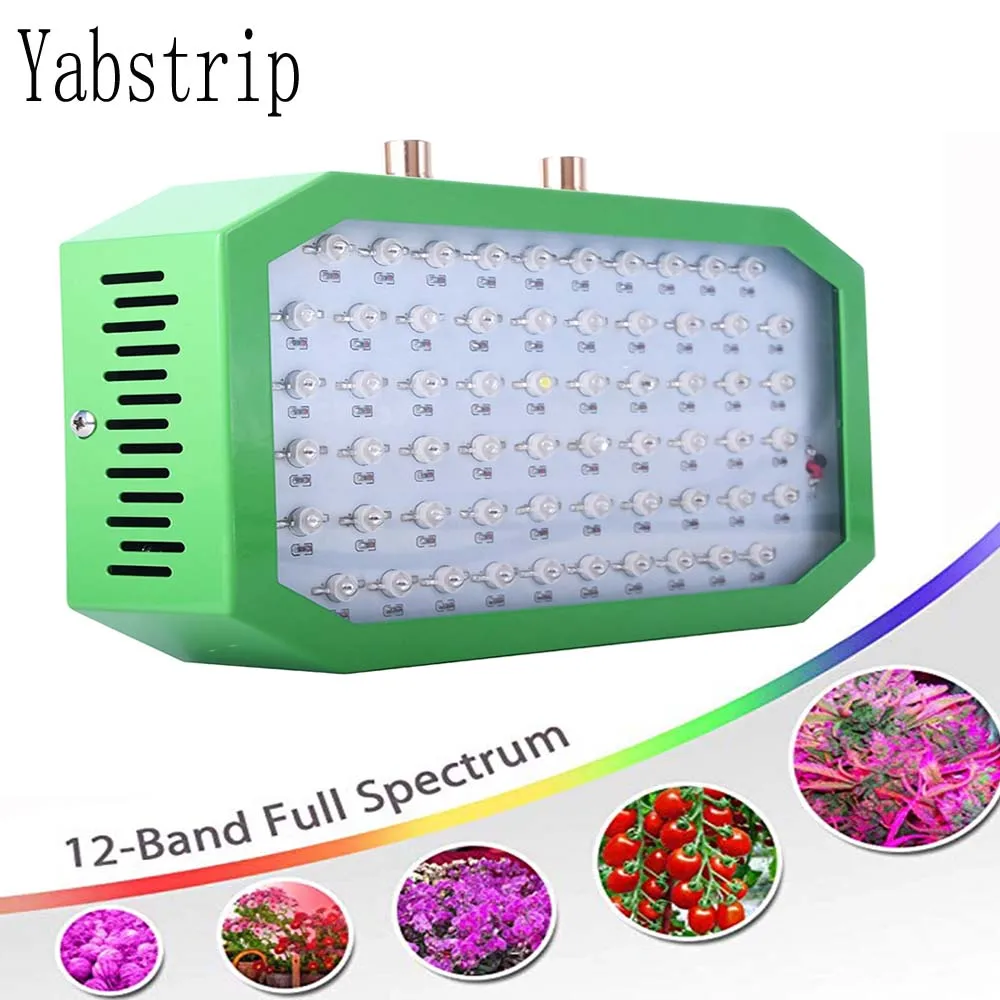 

LED Grow Lights Full Spectrum dimmable 600W Phyto Lamp For Indoor Flowers Vegetables Plant Tent Box Fitolamp Veeg Bloom mode