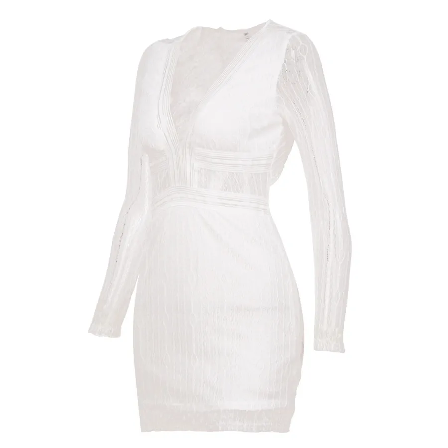 Gladiolus Lace Spring Autumn Dress Women 2019 Long Sleeve Deep V-Neck Hollow Out Mini Women Party Dress Ladies Sexy Club Dresses (21)