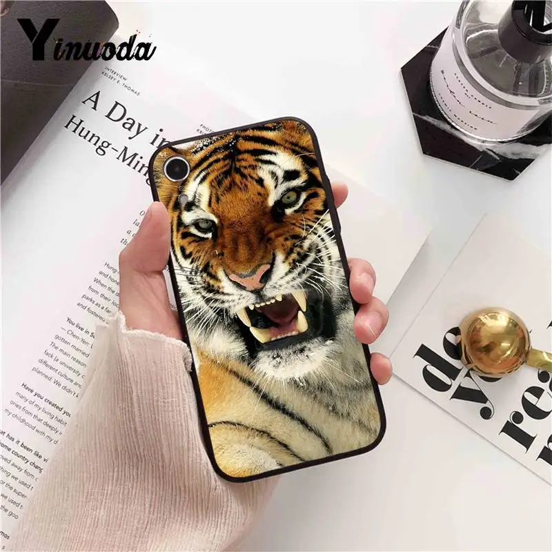 Russian version wolf tiger lion Leopard bear animal