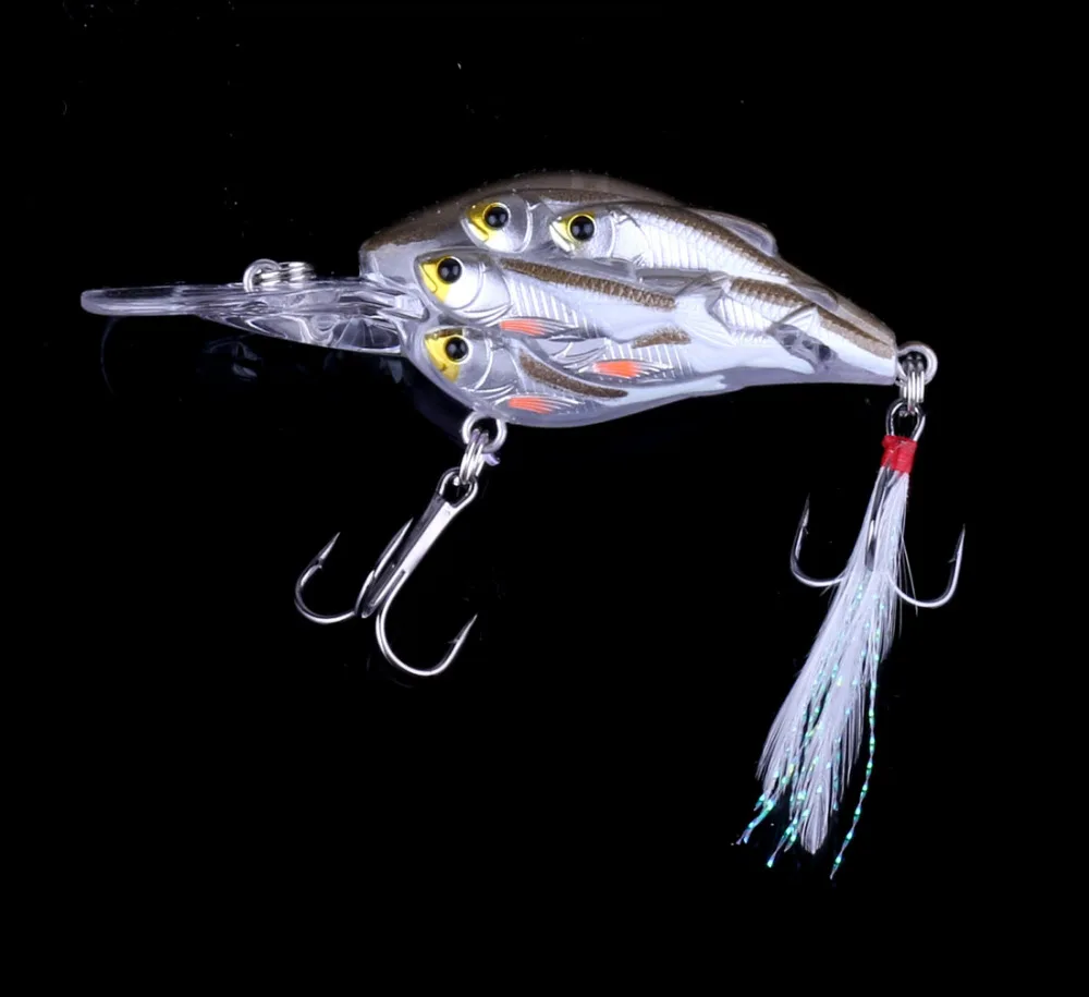 IMG_9127