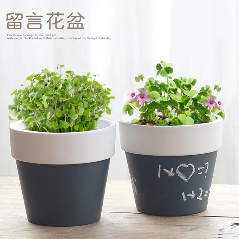 new design ceramic message flowerpot with plant seeds diy small planter succulent plants potted garden home desktop decor