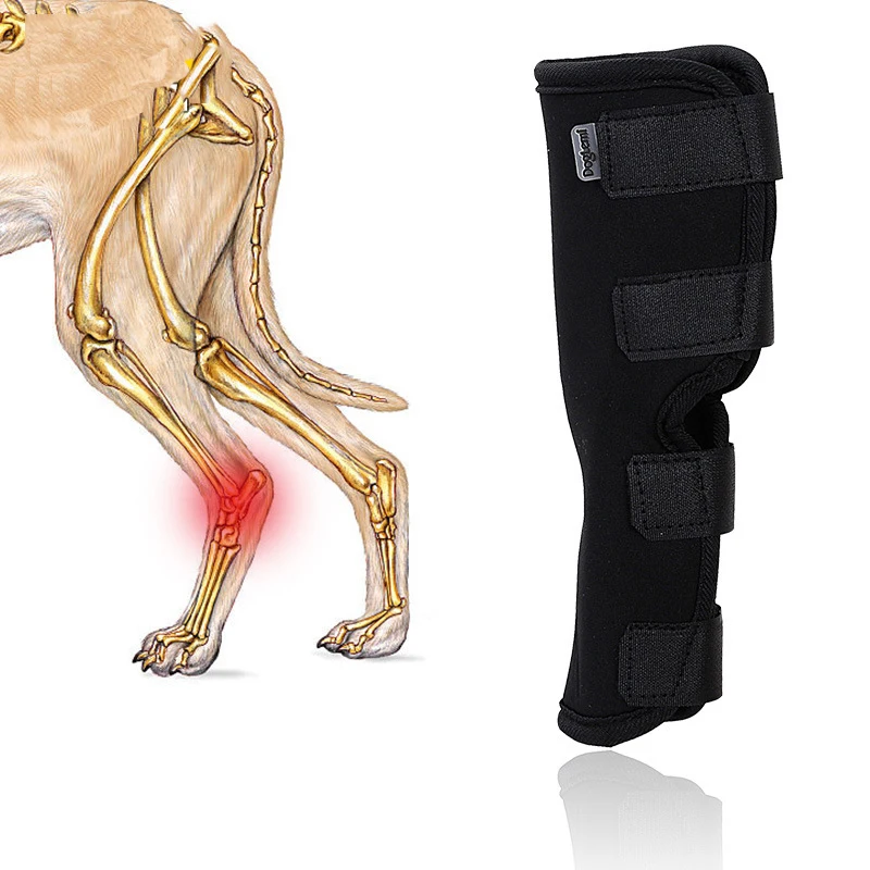 

JORMEL 1Pc Dog Hock Brace Pet Supportive Rear Dog Compression Leg Joint Wrap Protects Wounds and Injury Pet Supplies
