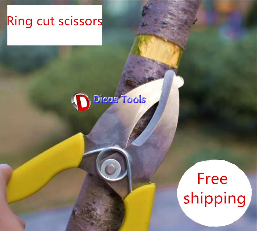 Профессиональное Садовое кольцо с фруктовым деревом, Режущее Кольцо-ножницы, ножницы, ветви, кольцевой резак, нож для зачистки коры