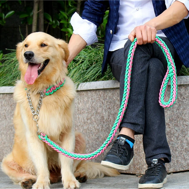 Double Strand Rope Large Dog Leashes Metal P Chain Buckle Contrast  Colorful Pet Traction Rope Collar Set Firm 1.2m Length 4