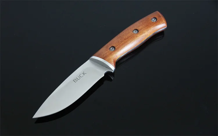 3104223969_620291727