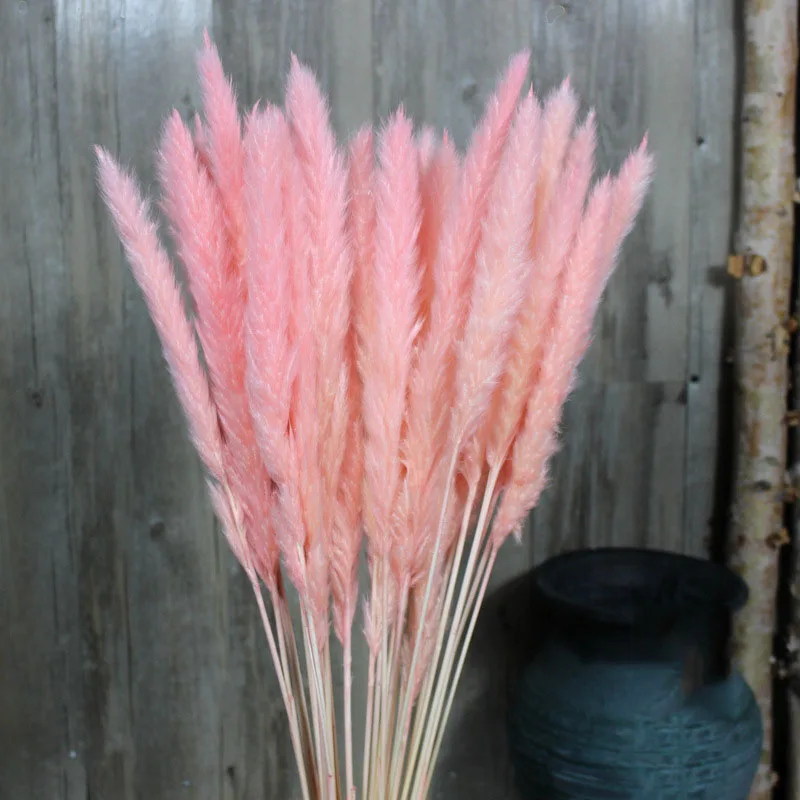 FUNNYBUNNY 15 шт. Натуральные Сушеные маленькие Пампы трава, Phragmites коммуниса, свадебный цветок букет, 75 см в высоту для домашнего декора - Цвет: pink