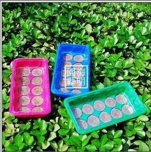 

1pc Nursery tray with clear cover+10pcs 30mm Soil Pellets Seeds Starting Plugs Indoor Seed Starter--Start Planting SET