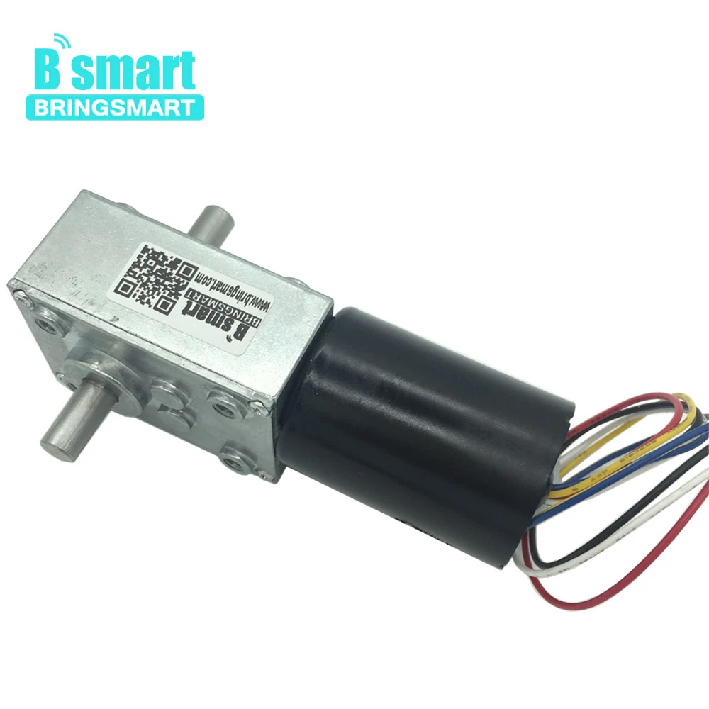 Double Shafts electric motor 12v BLDC Motor 8 470RPM 2.5 60KG.CM 24V