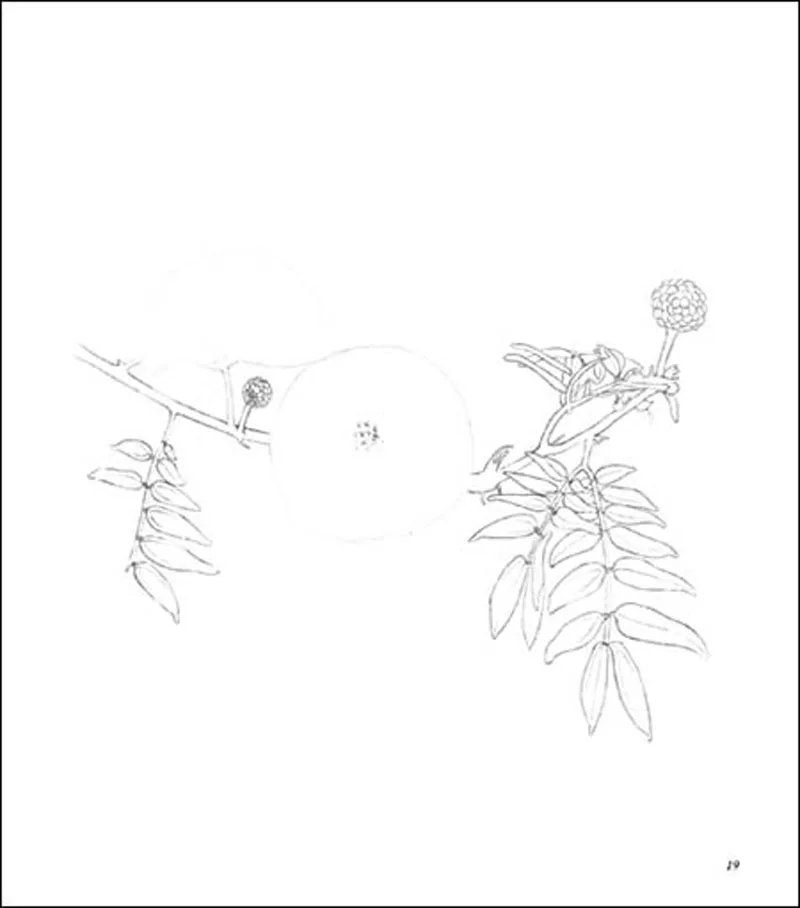 B014EPGMWG_0109_20150831