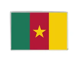 Флаг Камеруна качество акрил Магниты на холодильник изысканный мир туризма Сувениры холодильник магнитная Наклейки коллекция