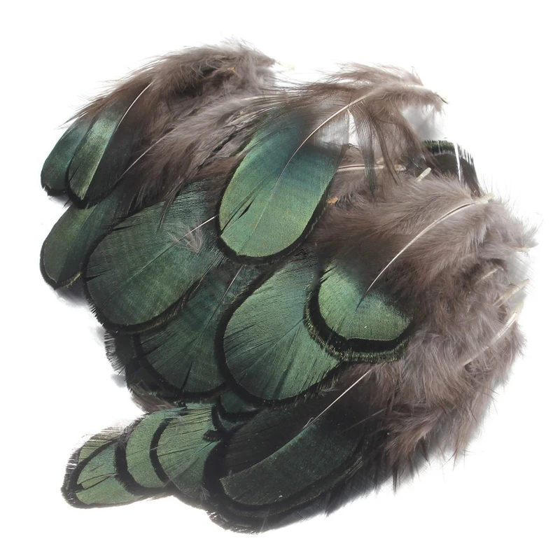 50pcs Green Natural Pheasant Tail Feathers 2.5 x 7cm For Clothing Decorations DIY Crafts