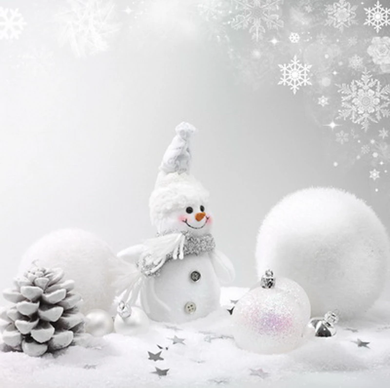 Photo Background White Snow Theme Photoshoot Backdrop Photographic Cute  Snow Man Celebrate Christmas Baby Photo Foto - Backgrounds - AliExpress