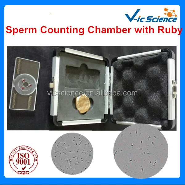 sperm counting chamber.jpg