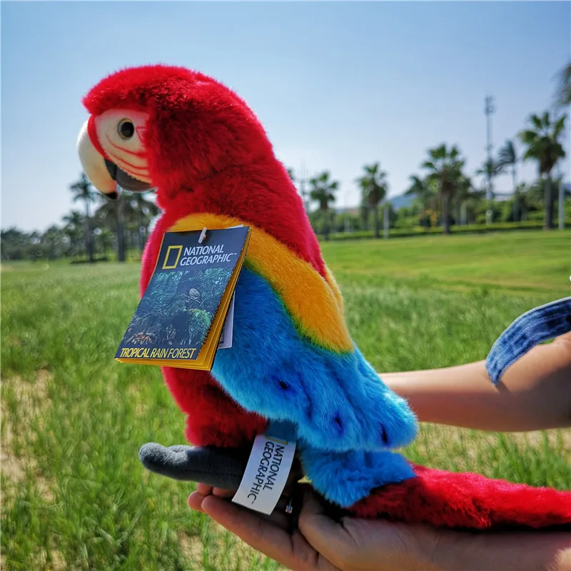 Плюшевые игрушки 10,", зеленый или красный или синий попугай, милые птицы, мягкие плюшевые куклы чистого цвета для украшения дома - Цвет: red parrot