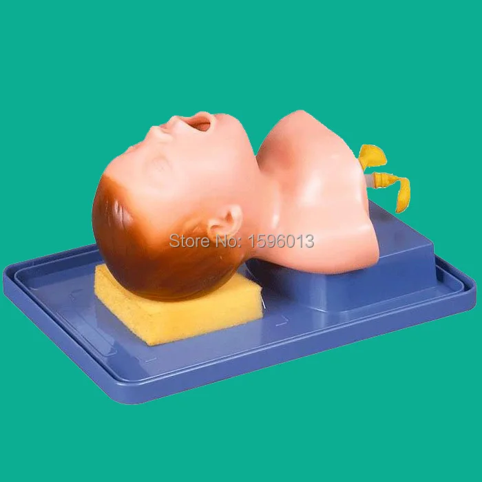 

Newborn Intubation Training Model,Neonatal Airway Medical Training model