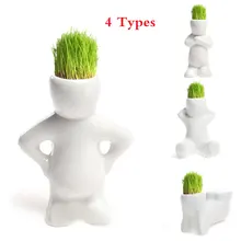 4 shape Choose DIY Mini Novel Bonsai Grass Doll Hair White Lazy Man Plant For Garden Planting Bonsais Gift Home Decoration