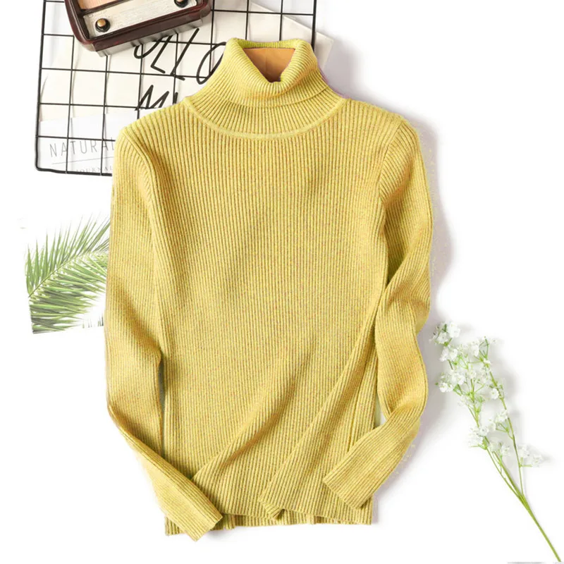 Warm Winter Women Sweater Turtleneck Pullover Knitted Sweaters For Ladies Long Sleeve High Elasticity Soft Pullovers Autumn 2018 (26)