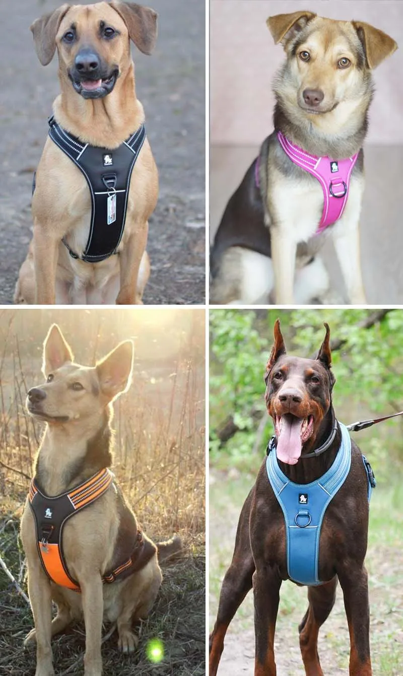 MySudui Truelove No Pull Dog Harness Dog Pet Harness Vest Large Small Harness Vest Adjustable Safety Walking Harness For Dog (4)
