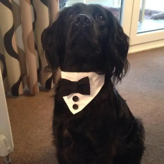 Красивый и модный белый бандана для собак с черным галстуком-бабочкой шарф для собак для Свадебная вечеринка для домашних животных