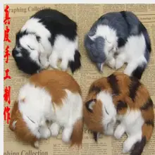 Wyzhy моделирование Декор для дома, с изображением кота творческий настольные украшения Одежда для фотосессий для отправьте друзьям подарки 14 см X 11 см