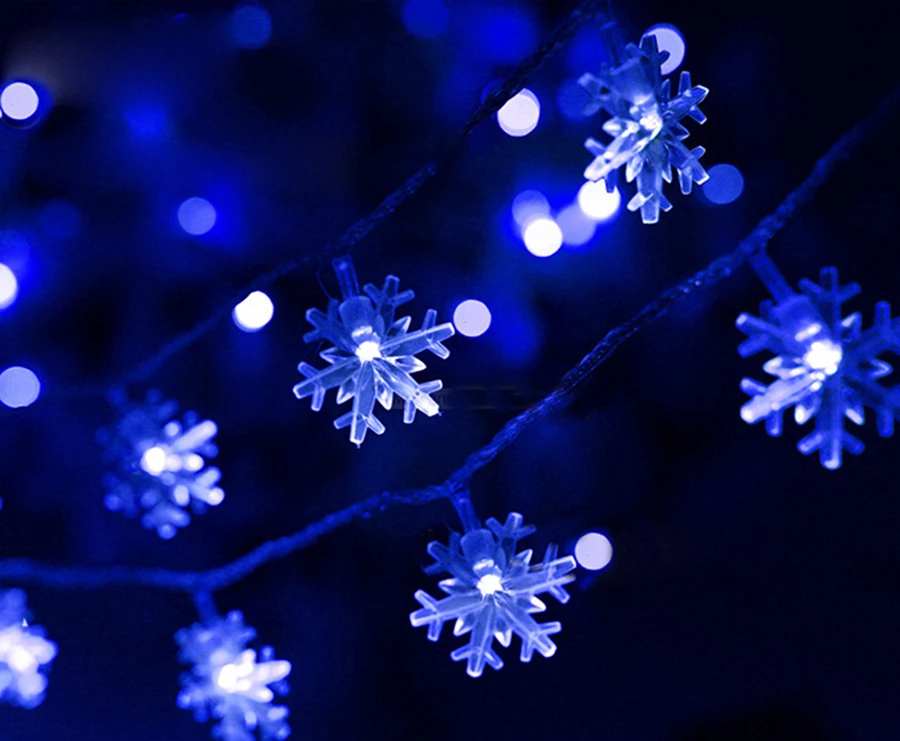 3629447620_1559958249