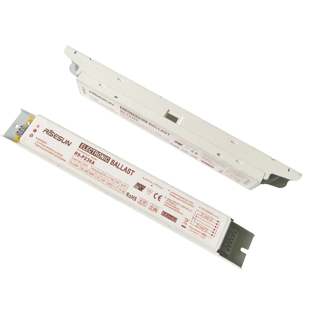 RS-P236 220V electric ballast 1