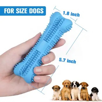 Toothbrush Dog Toy  5