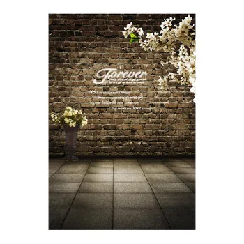 

1.5X2.2M Thin Vinyl photography backdrop Customize Newborns Studio Backdrop Digital Printing Background Vintage Old Wall S-750