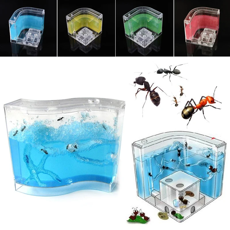 

1PC Ant House Transparent Kids Insects Terrarium Small Pet Toy Educational Random Color