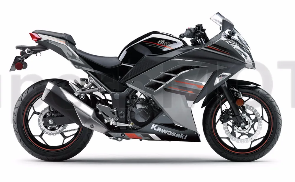 2013-Kawasaki-Ninja300ABS2