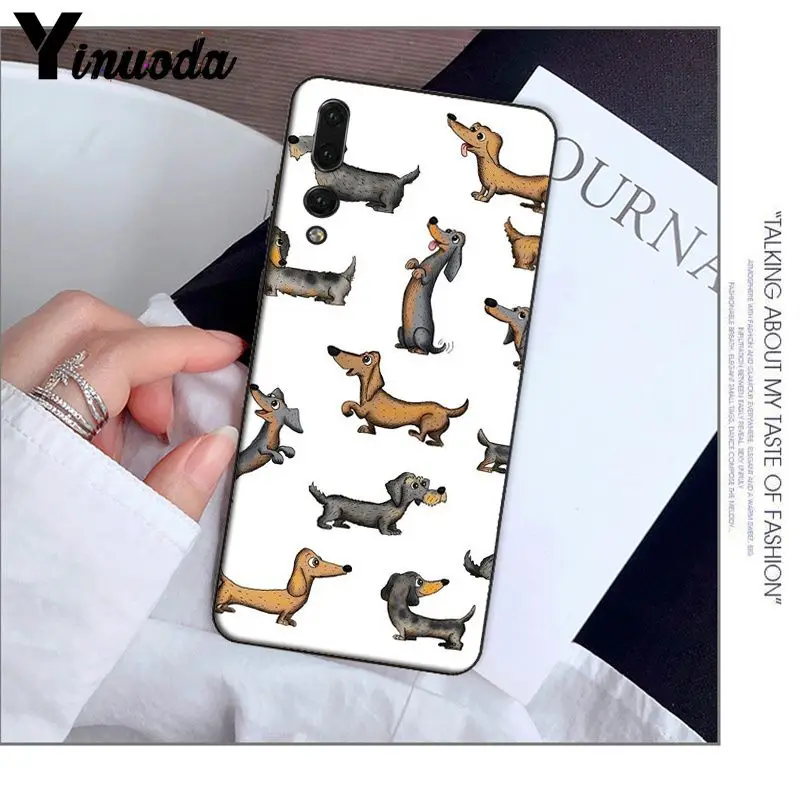Animals Dogs Dachshund 