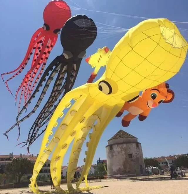 Новое высококачественное 12 м мощное программное обеспечение Octopus Kite Good Flying|octopus