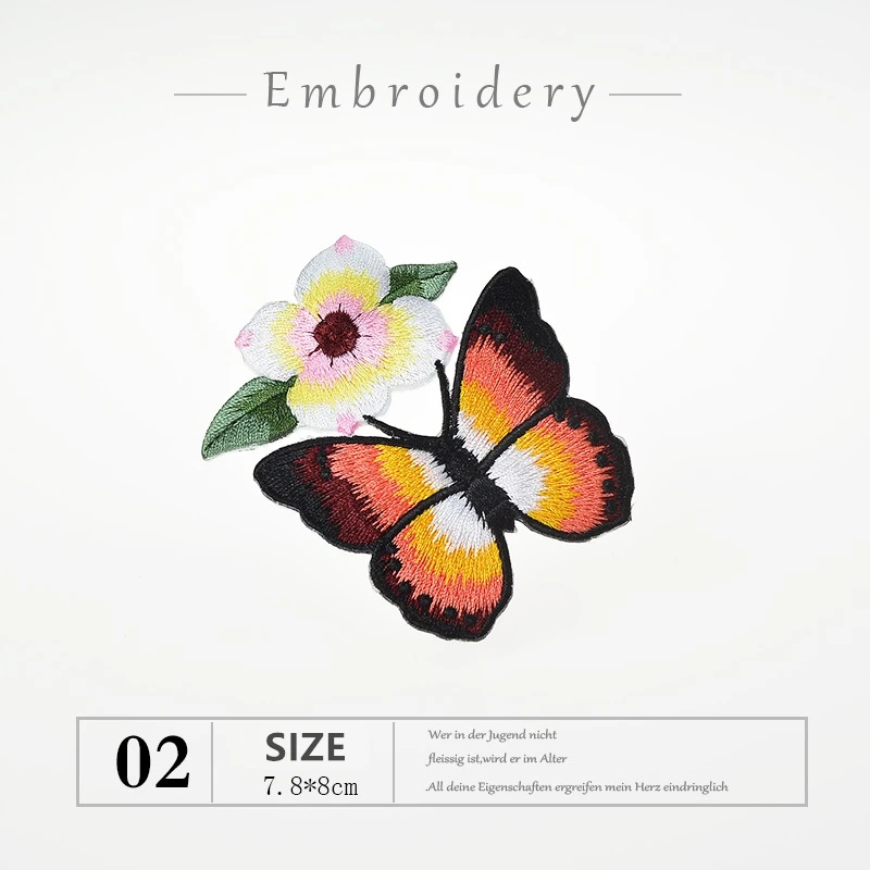 COLOR BUTTERFLY 3