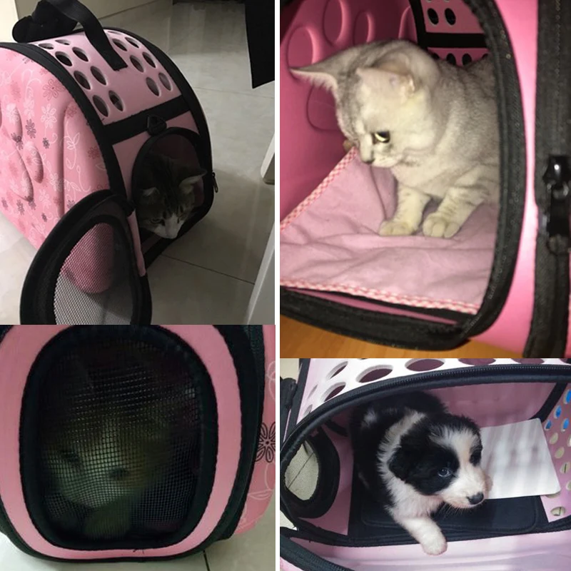 3 Colors EVA Foldable Pet Carriers Bags Small Dogs Singles Portable Breathable Transport Box Cat Puppy Dog Travel Handbag