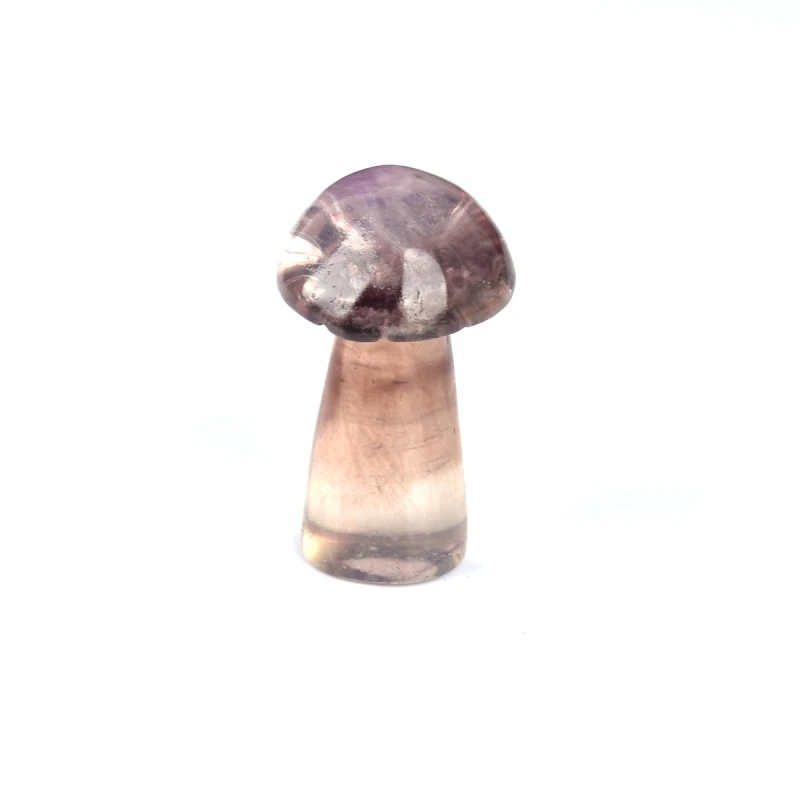 蘑菇12