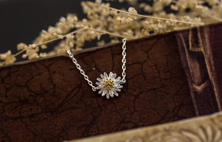 1872985529_823318017