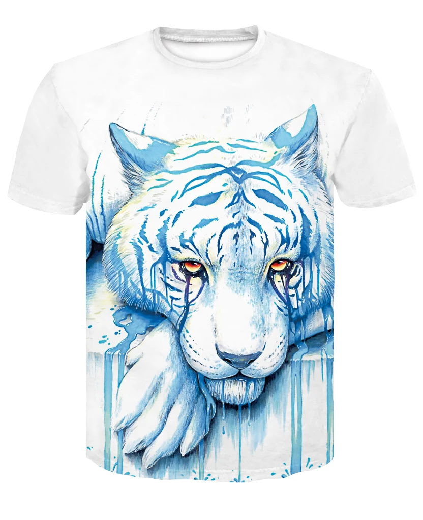 DT004-T-