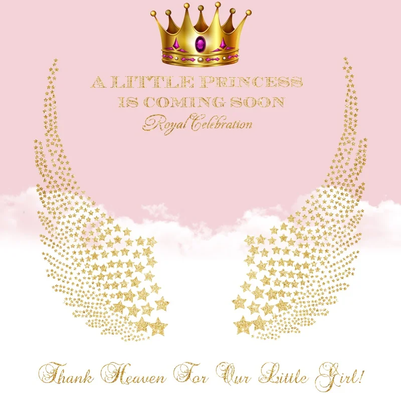 Laeacco Pink Baby Shower Backdrops For Photography A Little Princess Is Coming Soon Angel Wing Backgrounds Photocall Photo Stuio