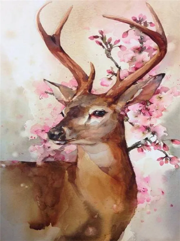W881  30x40 