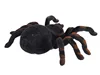 New Arrival Infrared RC Tarantula Realistic Spider with Lighting Remote Control Simulation Scary Toys Electronic Pets Gift 5